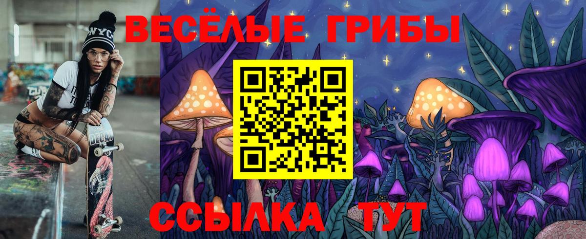 Галлюциногенные грибы Psilocybine cubensis  Псилоцибиновые грибы прущие грибы  Пушкино  Вход с VPN 